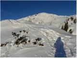 Planina Zajavornik - Brda